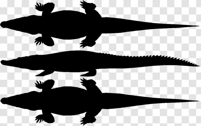 Turtle Amphibians Clip Art Fauna Silhouette - Crocodiles Transparent PNG