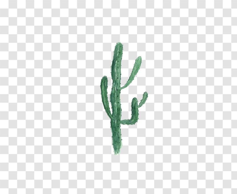 Cactaceae Opuntia Microdasys Painting #1 - Green Cactus Transparent PNG