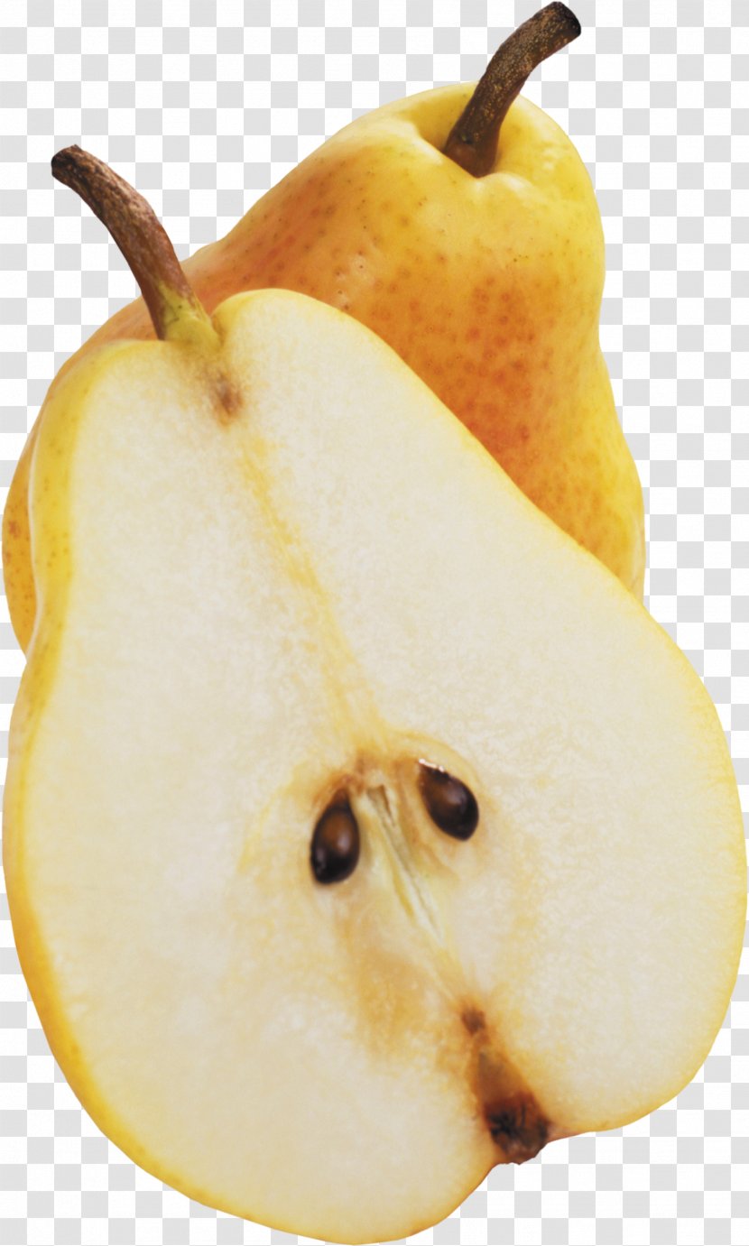 Fruit Clip Art - Snout Transparent PNG