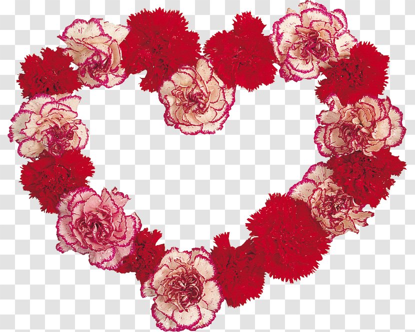 Carnation Cut Flowers Floral Design Garden Roses - Pink Family - Stary Frame Transparent PNG