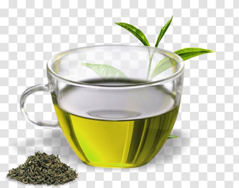 Green Tea Assam Oolong Herbal - Chinese Herb Transparent PNG