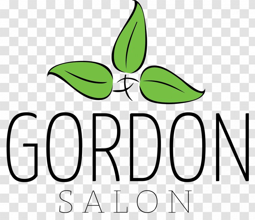 Gordon Salon In Clip Art Leaf Plant Stem Brand - Green - Beauty & Health Transparent PNG