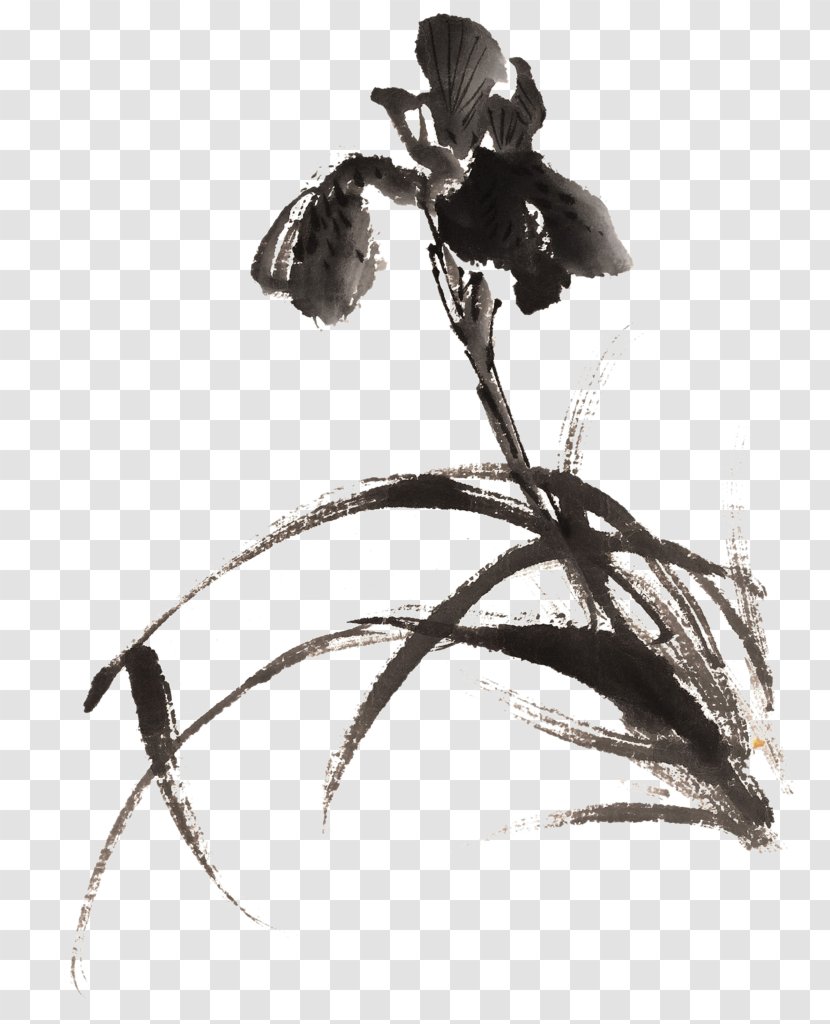 Ink Wash Painting Chinese Image Orchids - Shan Shui - Anggrek Background Transparent PNG