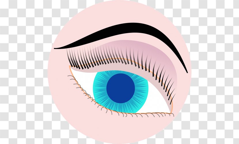 Iris Eye Visualization Clip Art - Flower Transparent PNG