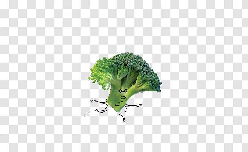 Food Salad Vegetable Broccoli - Cartoon Transparent PNG