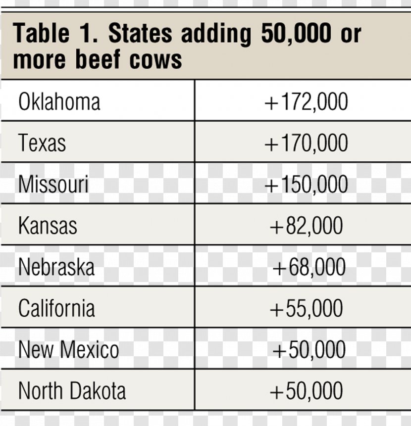 Beef Cattle Paper Document Angle - Material - Cowherd Transparent PNG