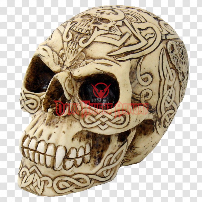 Human Skull Celts Skeleton Bone - Ornament Transparent PNG