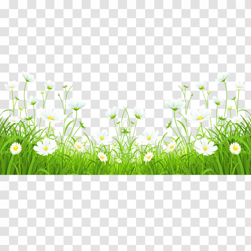 Green Clip Art - Grass Family - Flowers Transparent PNG