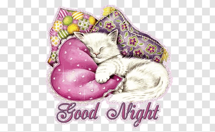 GIF Image Tenor Night Desktop Wallpaper - Whiskers - Goodnight Transparent PNG