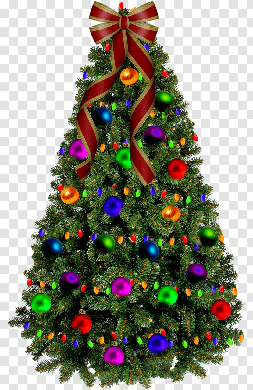Decorated Christmas Tree - Gift - With Lights and Decor Transparent PNG