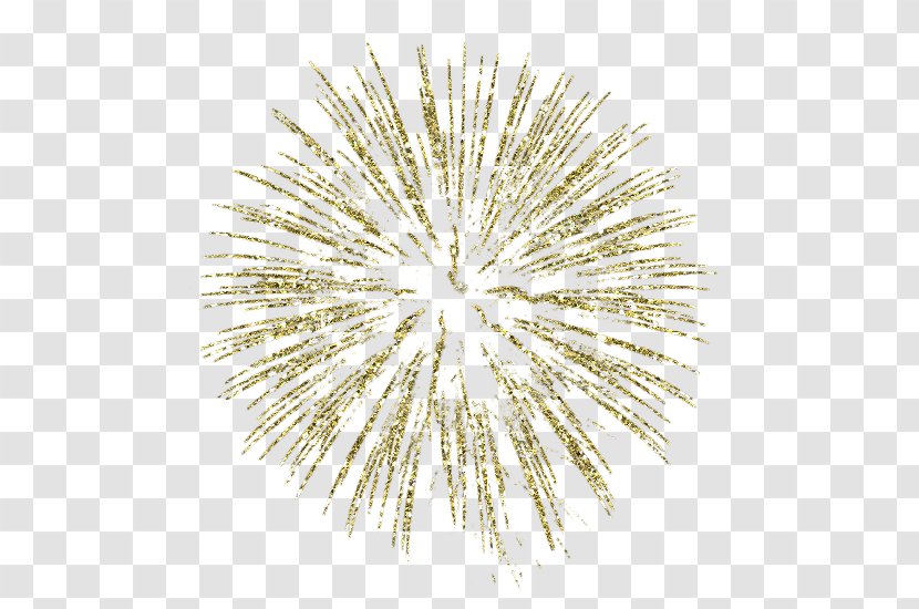 Fireworks Gold Clip Art - Jewellery Transparent PNG