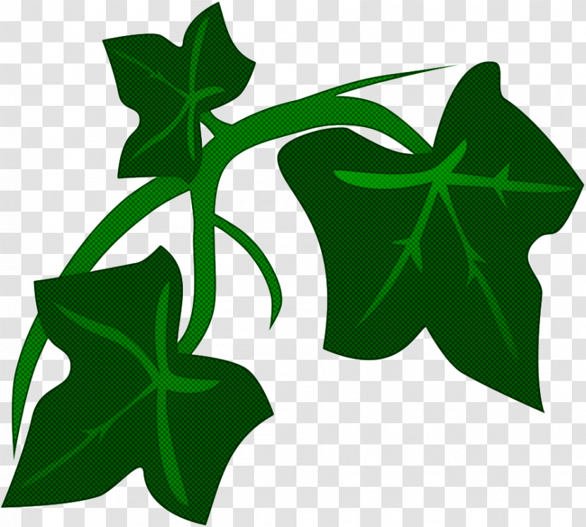 Leaf Plant Stem Flower Tree Symbol Transparent PNG