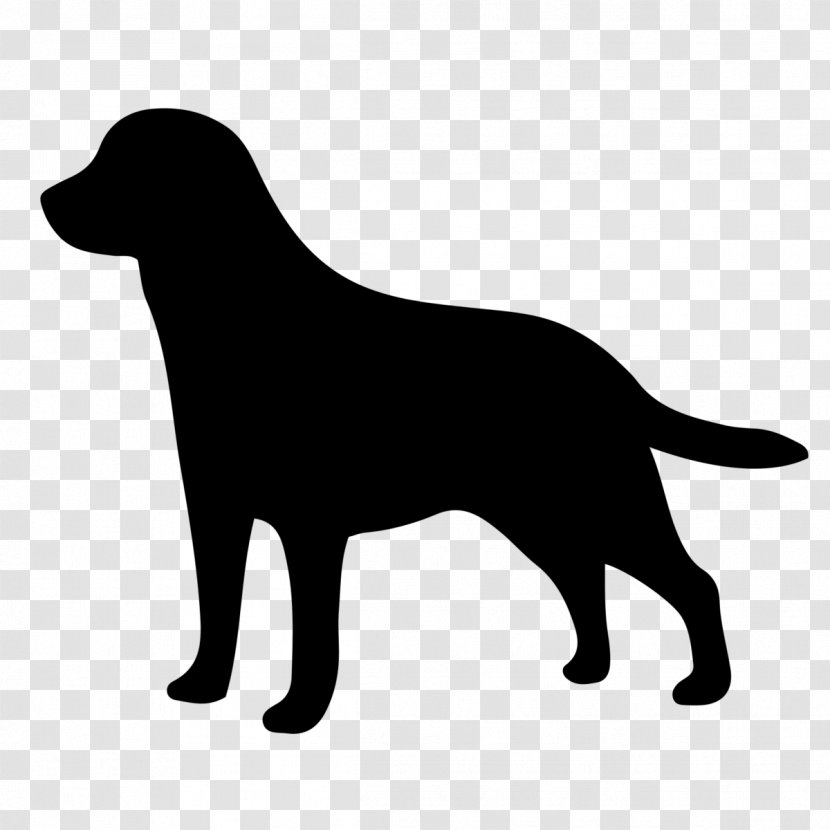 Dog Retriever Sporting Group Labrador Flat-coated - Flatcoated Transparent PNG