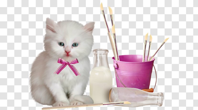 Cat Clip Art - Cute Transparent PNG