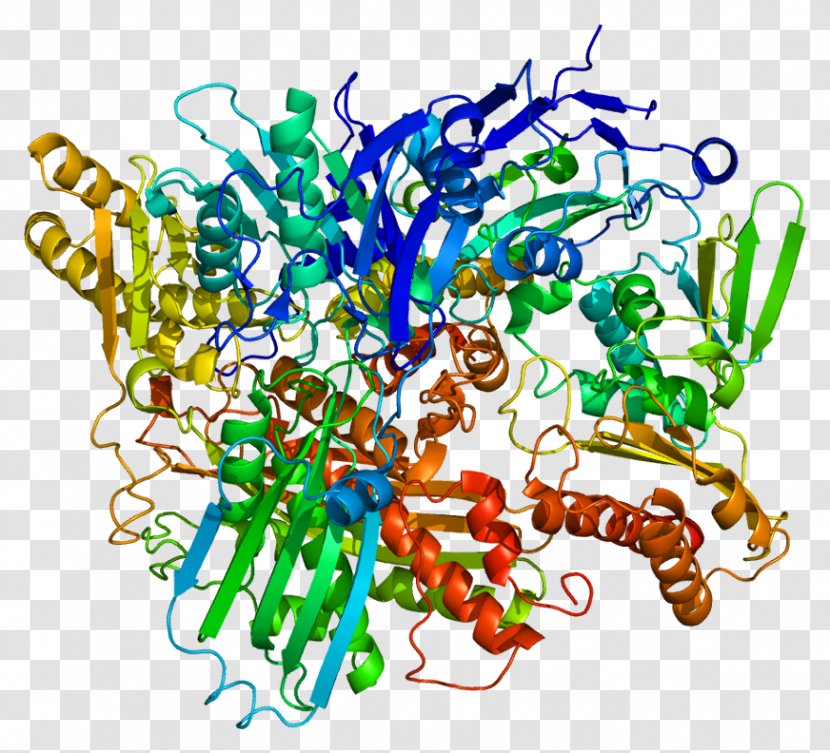 Xanthine Dehydrogenase Oxidase Protein - Metalloprotein Transparent PNG