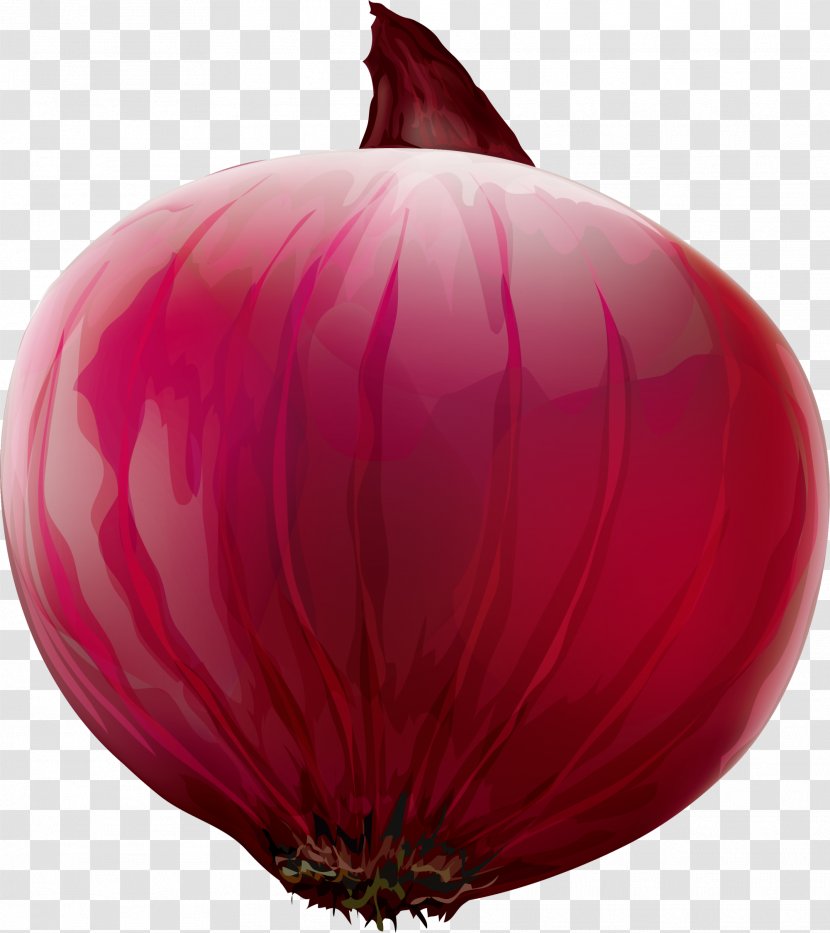 Red Onion Gratis - Magenta - Concise Transparent PNG