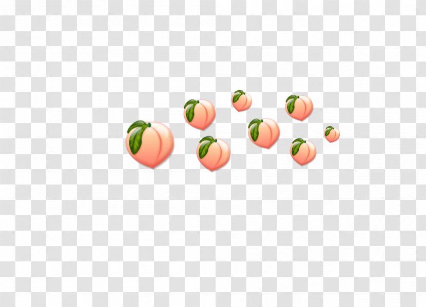 Peach Photography Fruit BTS - Cute Transparent PNG