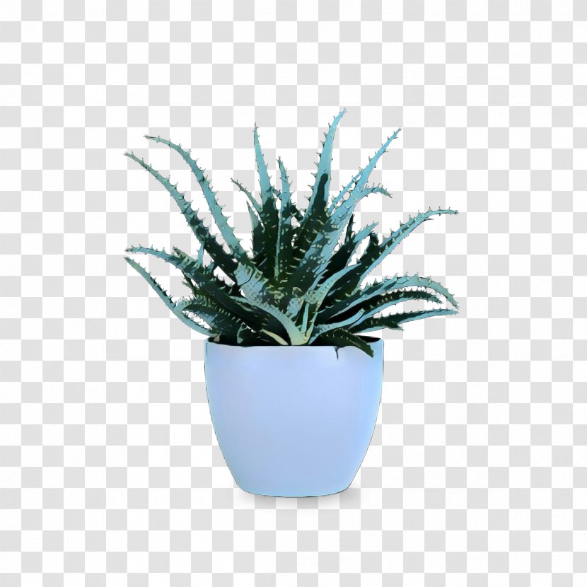 Flowerpot Holmegaard-Design With Light Pot Crock Plants Houseplant - Bonsai Transparent PNG