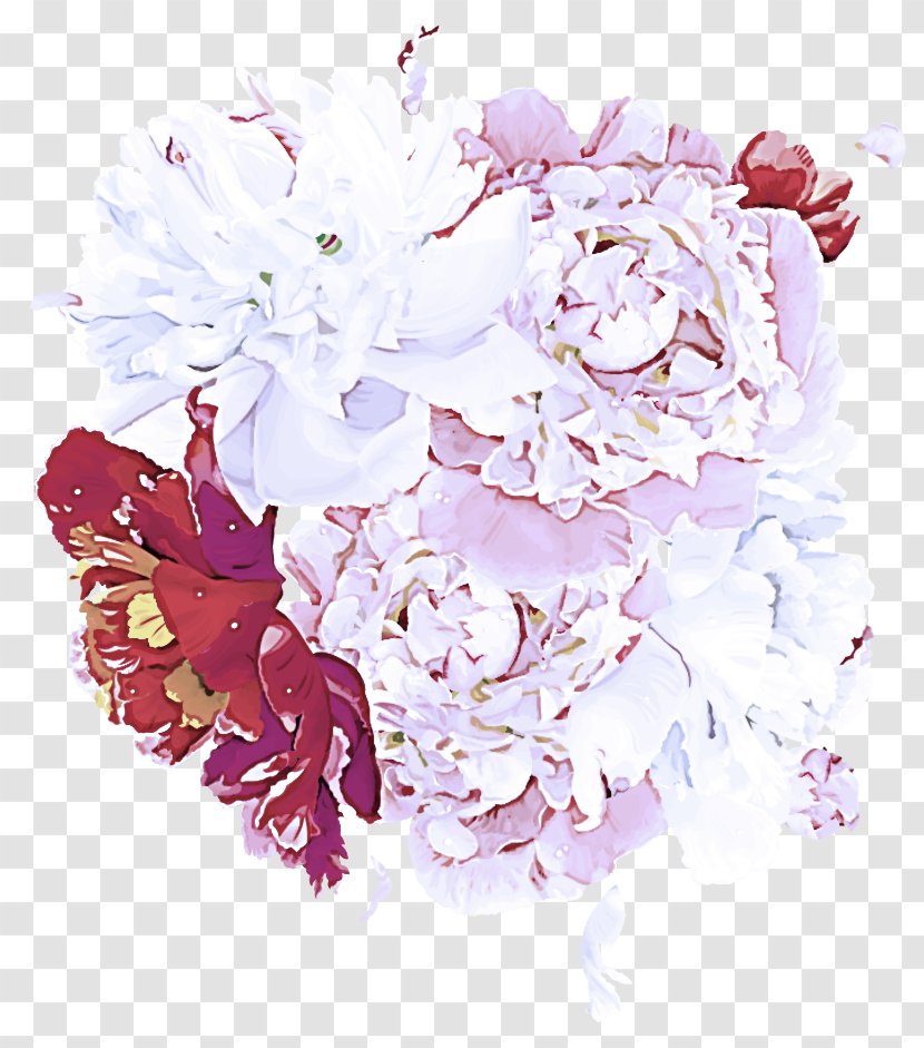 Cut Flowers Lilac Pink Flower Peony - Flowering Plant Bouquet Transparent PNG