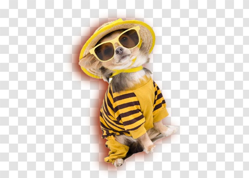 Dog Puppy Cuteness - Pollinator - Cool Transparent PNG
