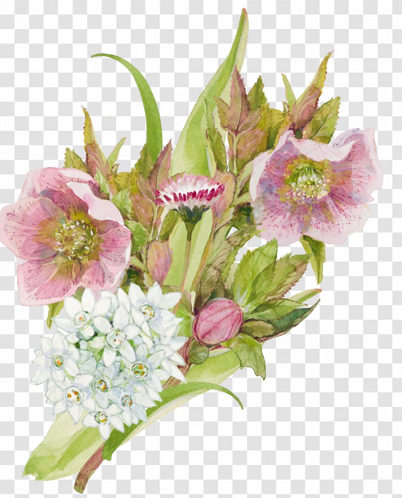 Lily Flower Cartoon - Petal - Hellebore Floristry Transparent PNG