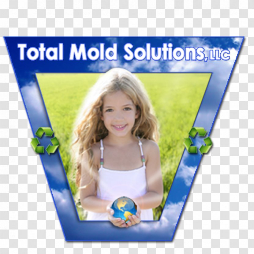Total Mold Solutions, LLC. Indoor Air Quality Sinus Infection - Picture Frame - Odor Transparent PNG