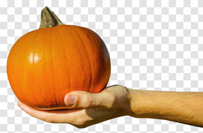 Jack-o-lantern Pumpkin - Carving - Hand Holding Orange Transparent PNG