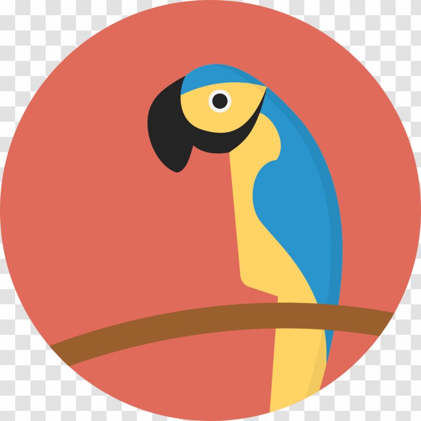 Parrot Bird - Vertebrate - Turkey Transparent PNG