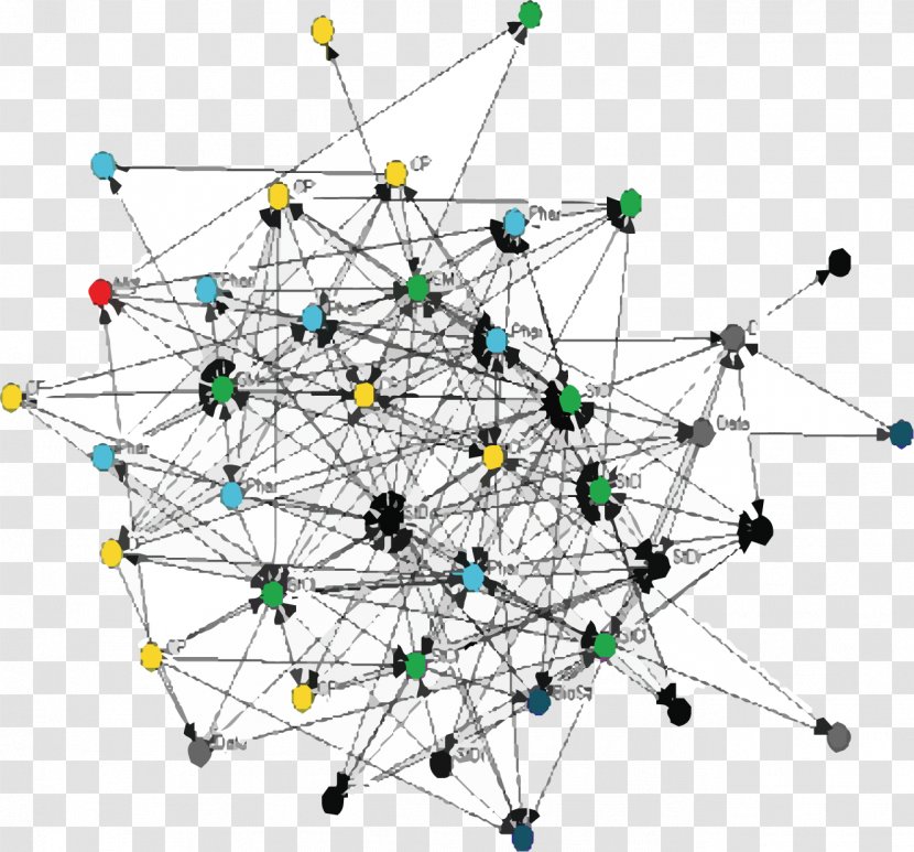Informal Organization Social Network Hierarchical Information Transparent PNG
