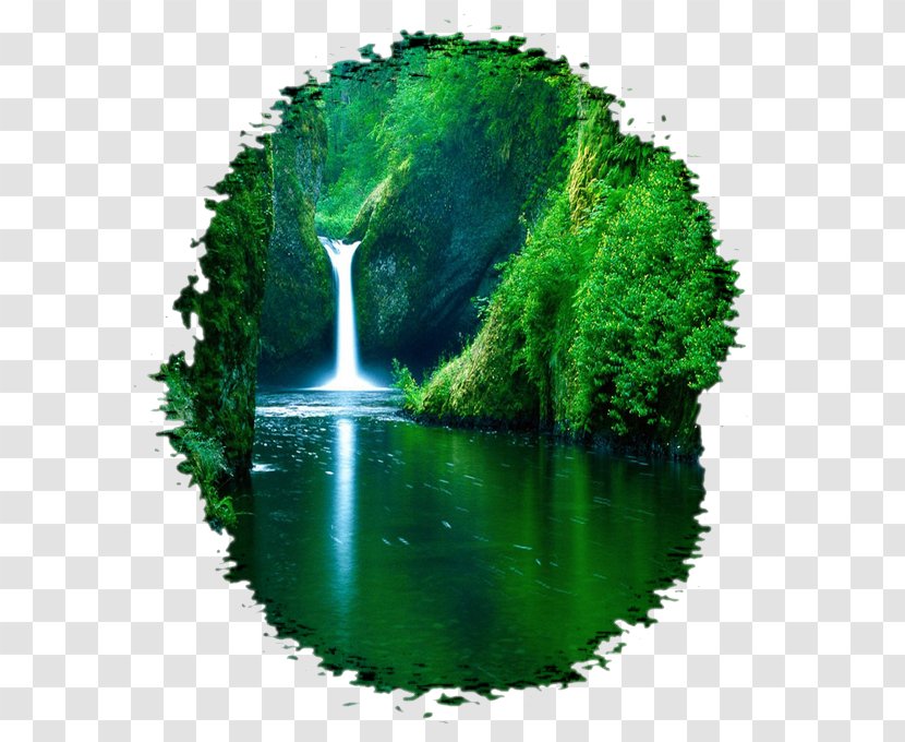 Desktop Wallpaper Nature Story Landscape - Vegetation - Waterfalls Transparent PNG
