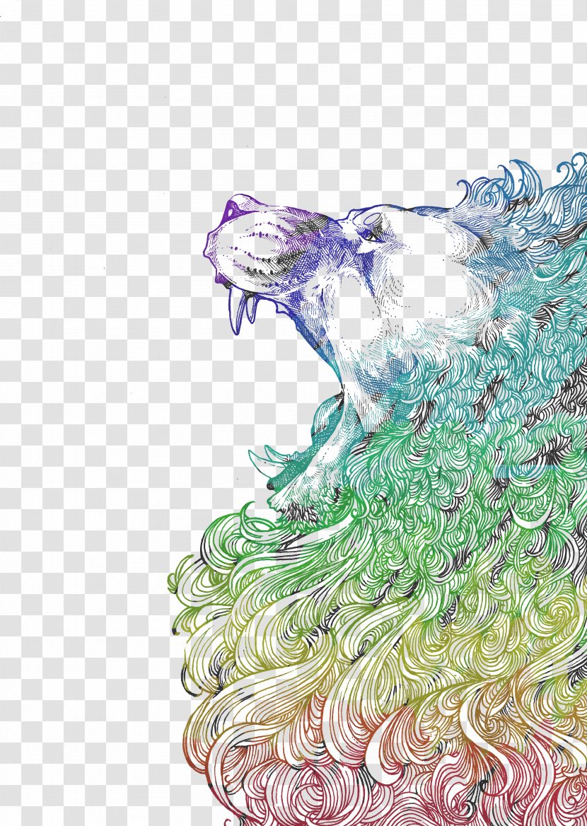Lion Illustration Drawing Image Roar - Animal Transparent PNG