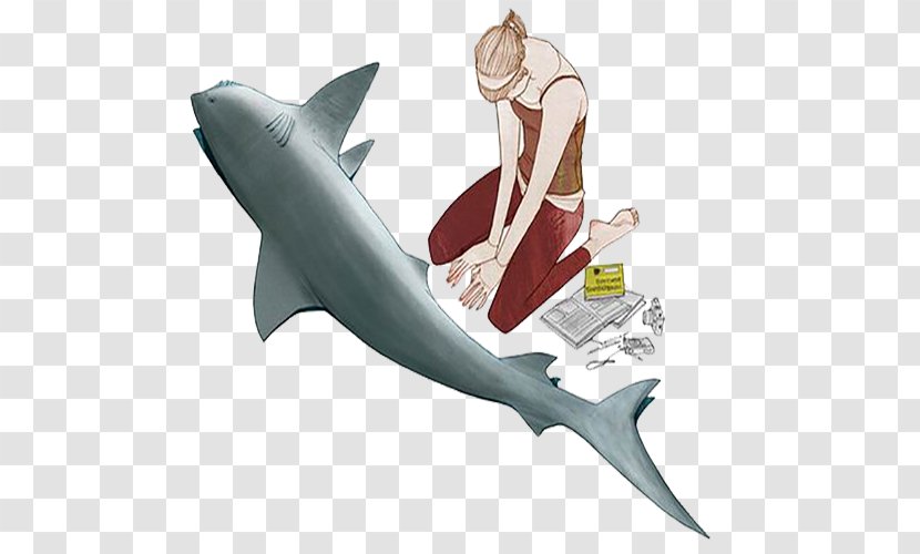 Requiem Shark Illustration - Marine Mammal - Simple Beauty And Transparent PNG