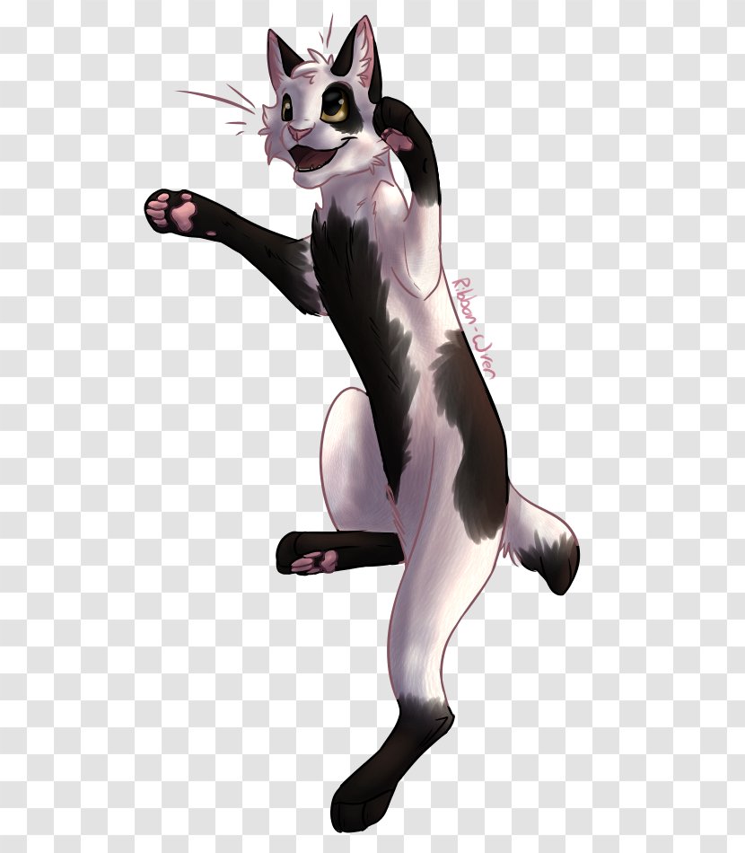 Whiskers Cat Dog Canidae Graphics - Like Mammal - Leap Of Faith Transparent PNG
