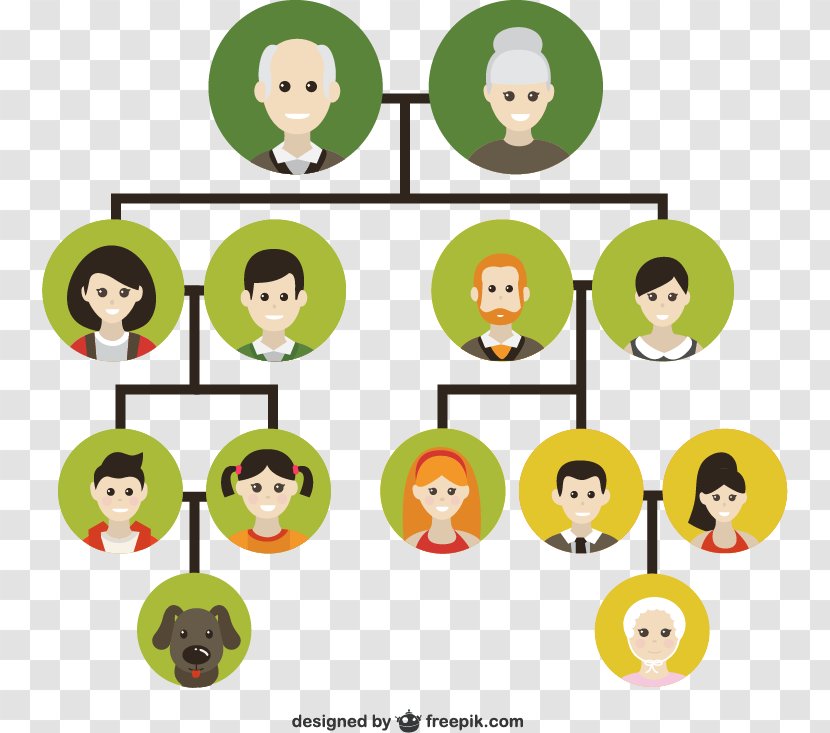 Family Tree Genealogy Icon - Ancestor - Vector Illustration Material, Transparent PNG