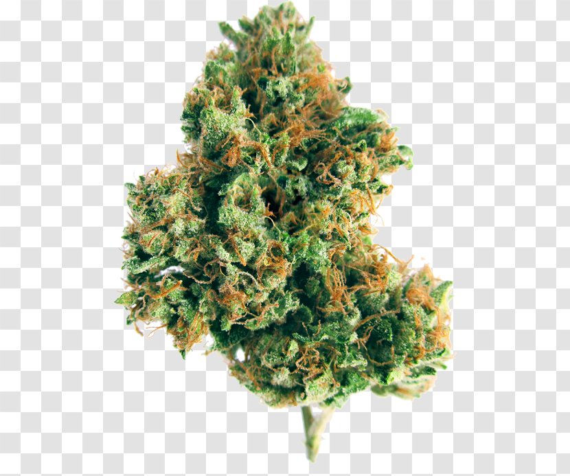 Kush Medical Cannabis Herbicide Tetrahydrocannabinol - Weed - Indica Nuggets Transparent PNG
