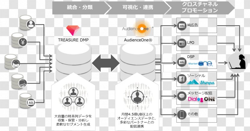 Data Management Plan トレジャーデータ株式会社 Platform Marketing Transparent PNG