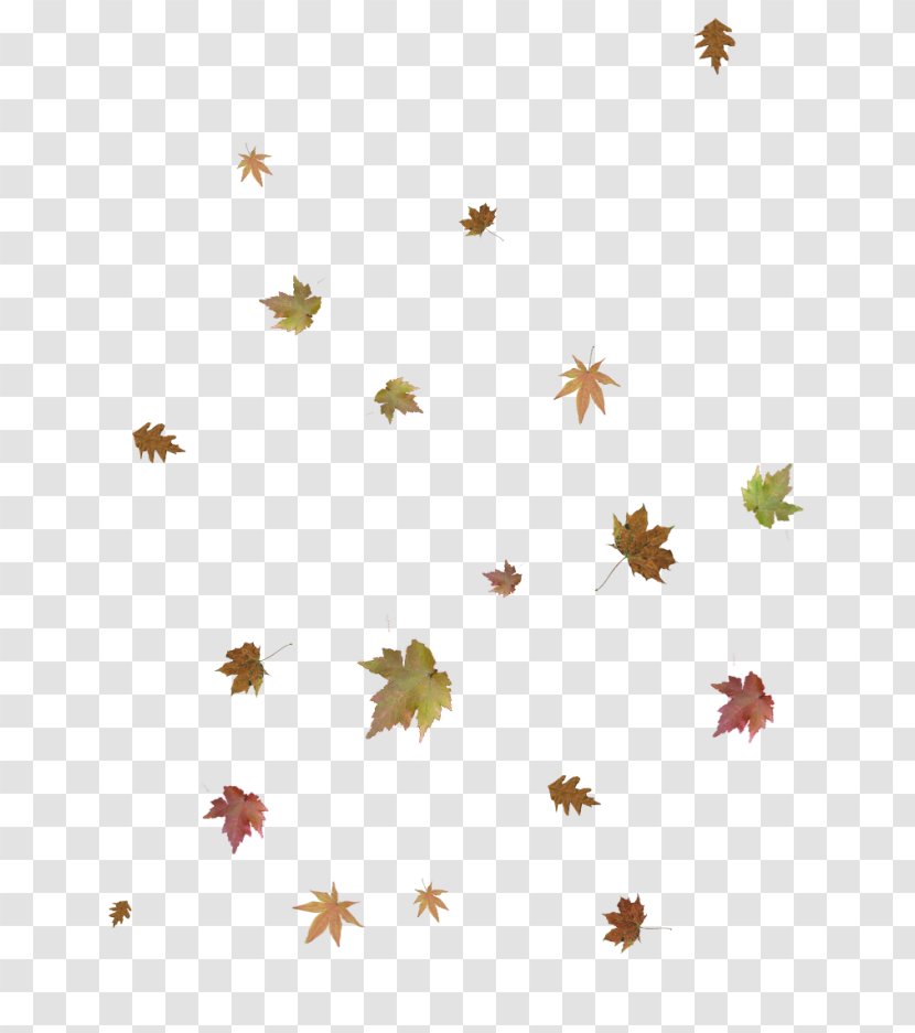 Autumn Branch - Sticker - Plant Yellow Transparent PNG