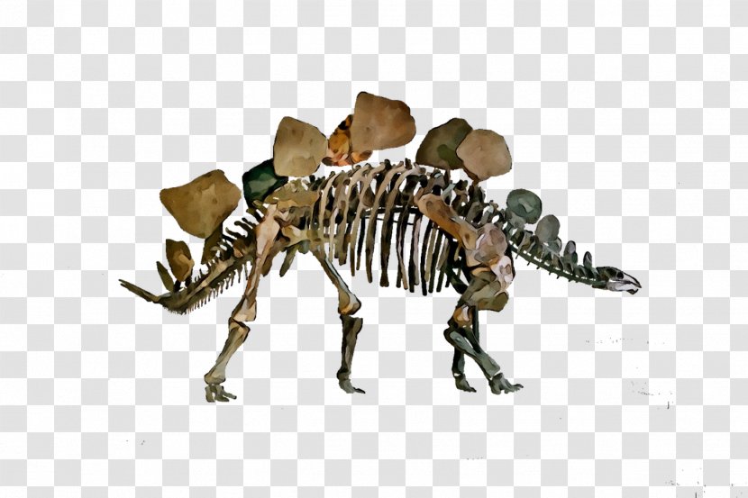 Dinosaur Skeleton - Extinction - Organism Transparent PNG