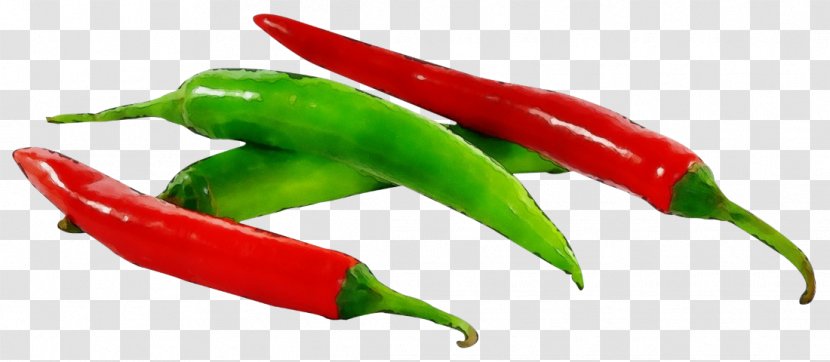 Serrano Pepper Bird's Eye Chili Tabasco Malagueta - Wet Ink - Bell Peppers And Vegetable Transparent PNG