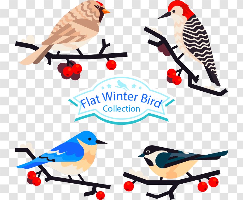 Bird Parrot Feather Clip Art - Shoe - Flat Winter Birds Transparent PNG