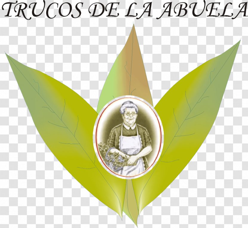 Los Remedios De La Abuela Para Cada Estación Del Año Logo Brand Season Font - Truco Transparent PNG