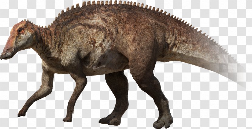 Stegosaurus Pachyrhinosaurus Parksosaurus Late Cretaceous Edmontosaurus Annectens - Organism - Knocked Over The Particles Transparent PNG