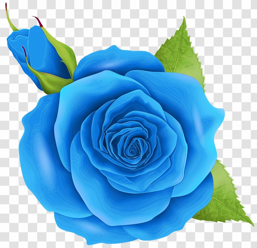 Blue Watercolor Flowers - Rose - Artificial Flower China Transparent PNG