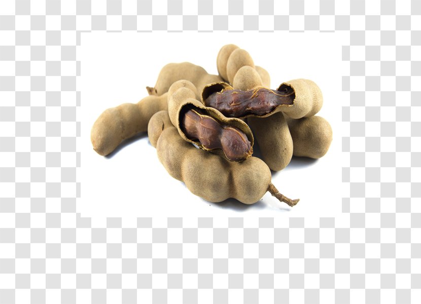 Tamarind Castanospora Fruit Vegetarian Cuisine Seed - Commodity - Superfood Transparent PNG