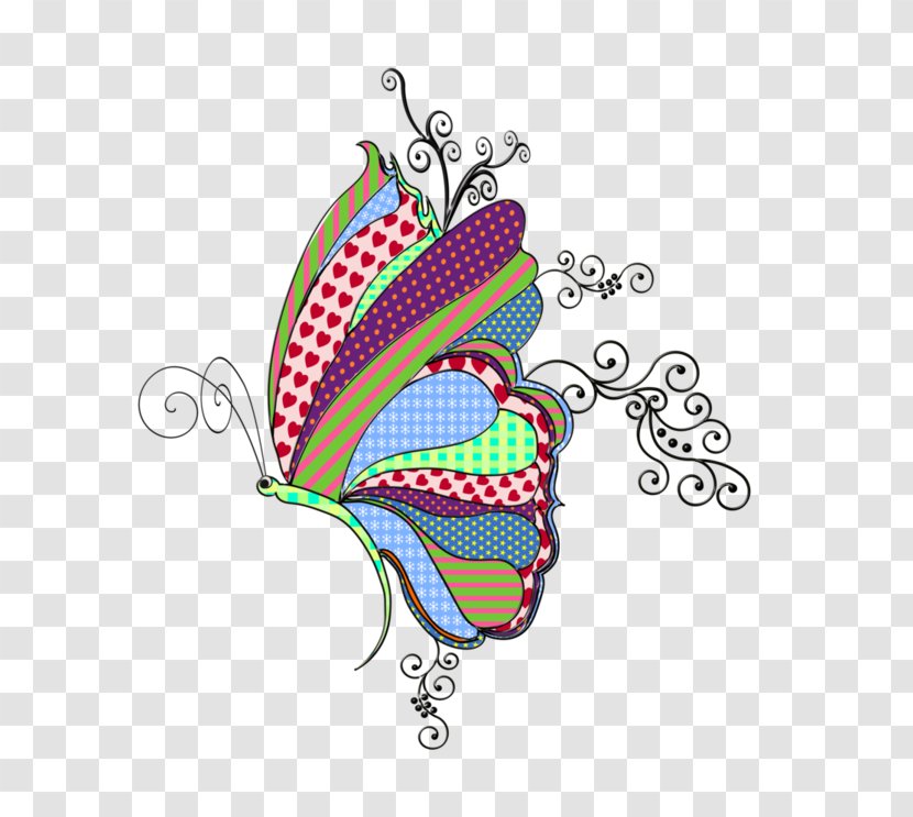 Butterfly Clip Art Illustration Image Insect Transparent PNG