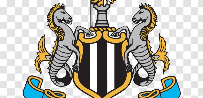 Newcastle United F.C. St James' Park Sunderland A.F.C. English Football League Manchester - Recreation Transparent PNG