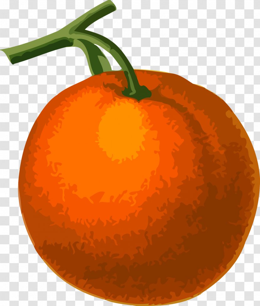 Clementine Tangerine Drawing Clip Art - Gourd - Orange Fruit Transparent PNG