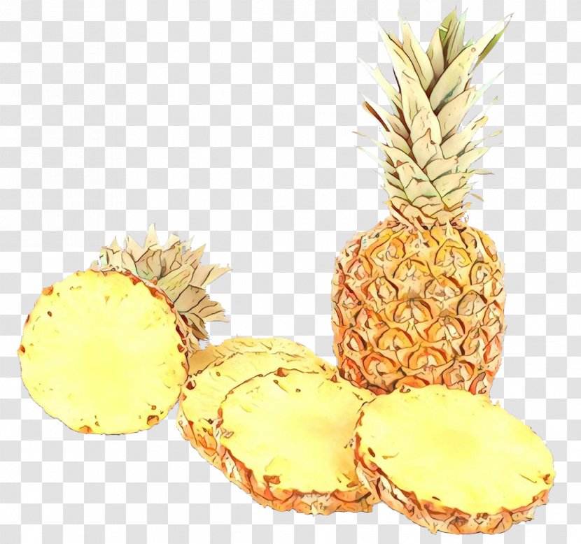 Pineapple - Ananas - Poales Plant Transparent PNG