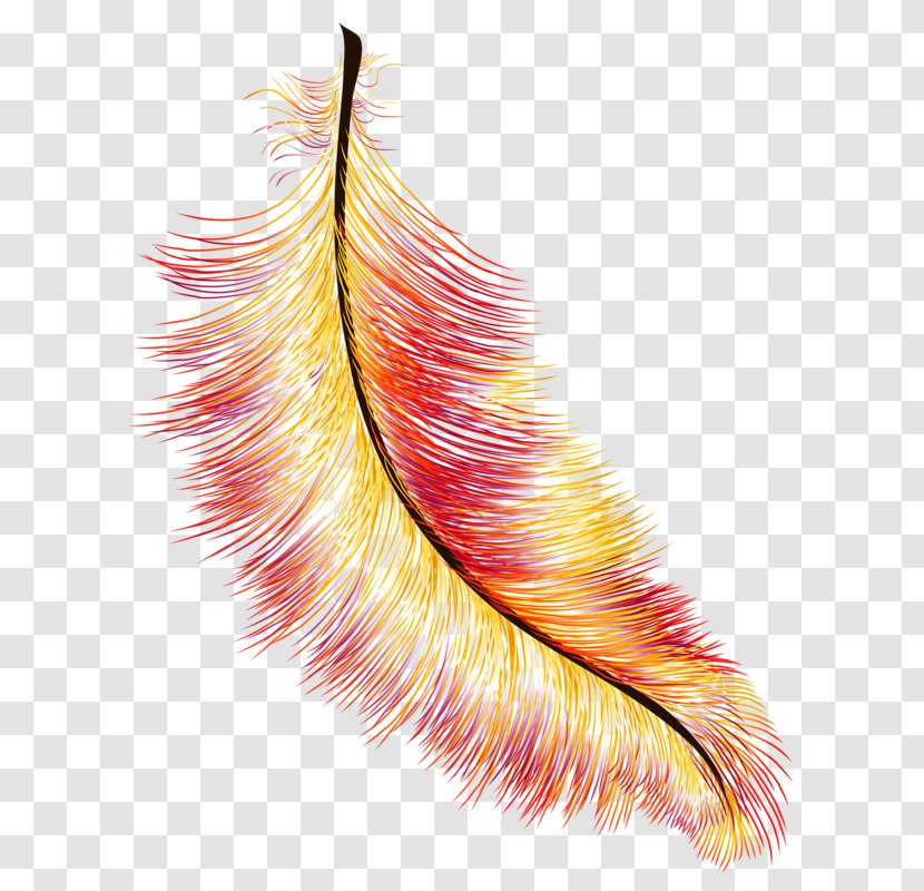 Bird Feather - Free - Red Transparent PNG