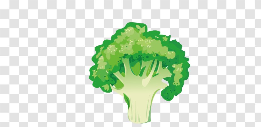 Vegetable Broccoli Asparagus Illustration - Product Design Transparent PNG